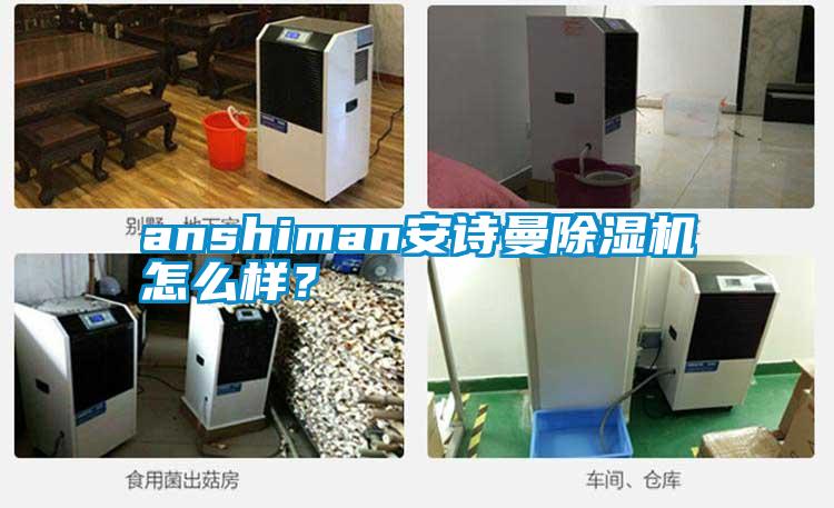 anshiman安詩曼除濕機怎么樣？