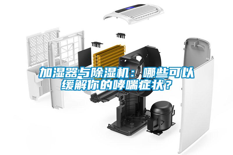 加濕器與除濕機：哪些可以緩解你的哮喘癥狀？