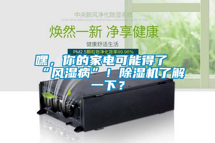 嘿，你的家電可能得了“風濕病”！除濕機了解一下？