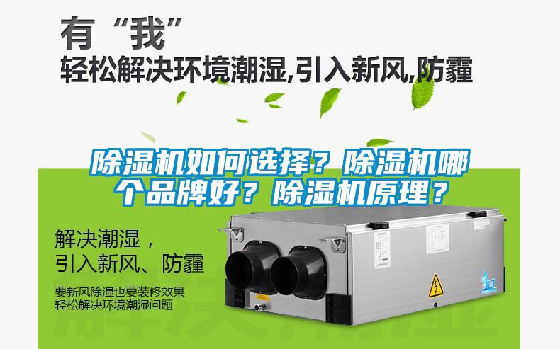 除濕機如何選擇？除濕機哪個品牌好？除濕機原理？