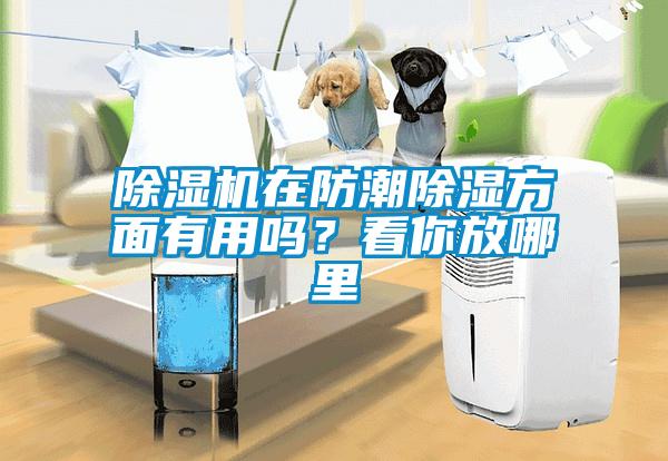 除濕機在防潮除濕方面有用嗎？看你放哪里