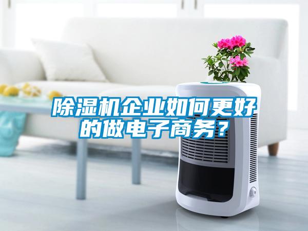 除濕機(jī)企業(yè)如何更好的做電子商務(wù)？