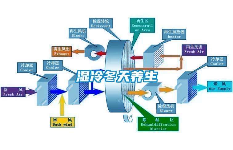 濕冷冬天養生