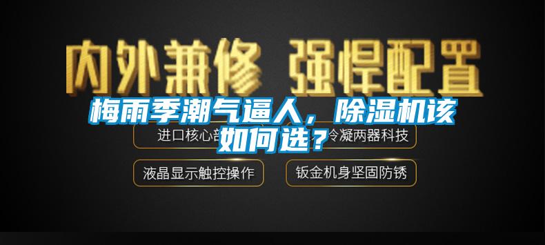 梅雨季潮氣逼人，除濕機(jī)該如何選？