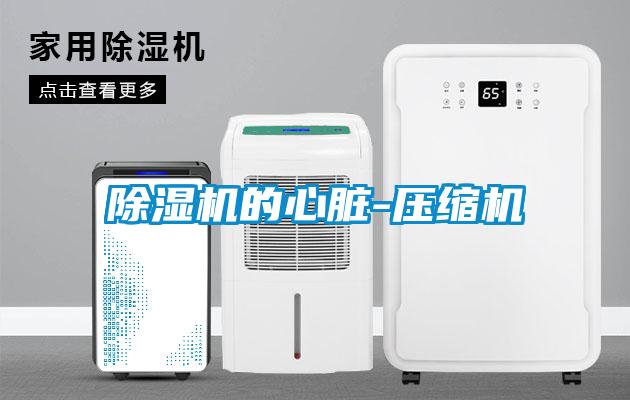 除濕機的心臟-壓縮機