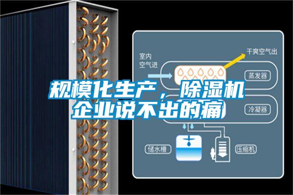 規(guī)模化生產(chǎn)，除濕機企業(yè)說不出的痛