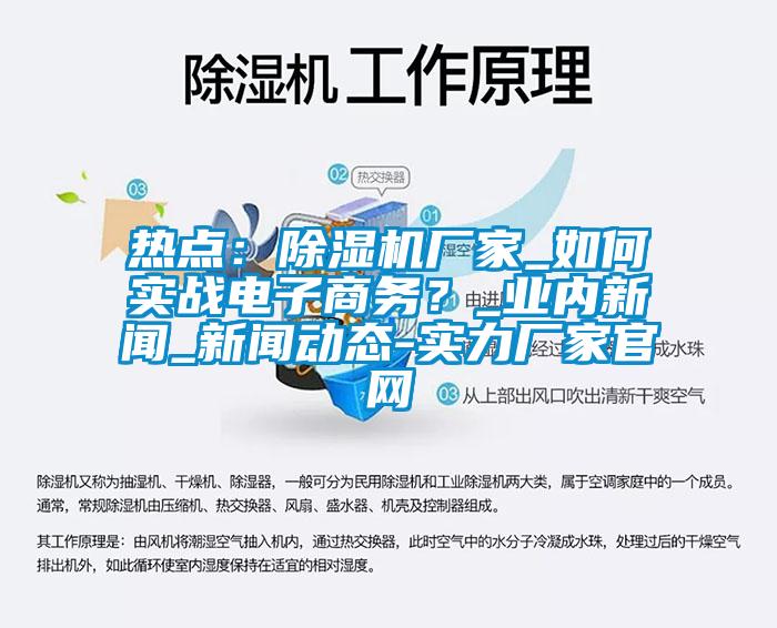 熱點：除濕機廠家_如何實戰電子商務？_業內新聞_新聞動態-實力廠家官網