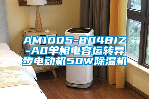 AM1005-804BIZ-A0單相電容運轉異步電動機50W除濕機