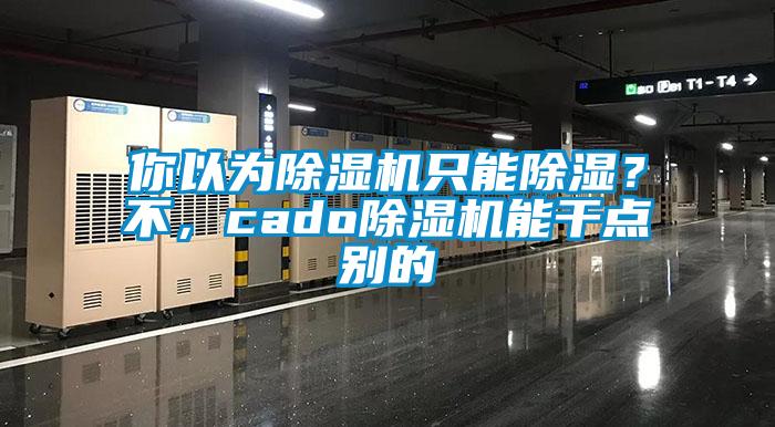 你以為除濕機只能除濕？不，cado除濕機能干點別的