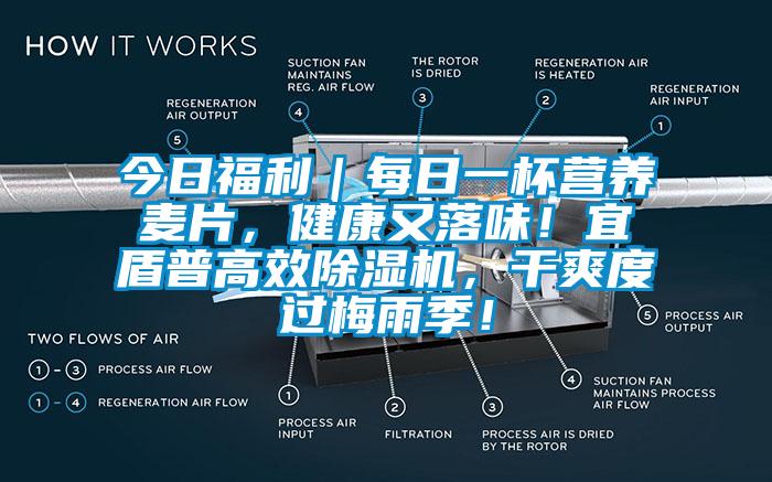 今日福利｜每日一杯營養麥片，健康又落味！宜盾普高效除濕機，干爽度過梅雨季！