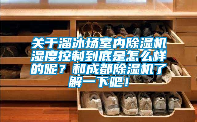 關于溜冰場室內除濕機濕度控制到底是怎么樣的呢？和成都除濕機了解一下吧！