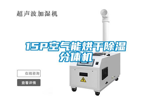 15P空氣能烘干除濕分體機