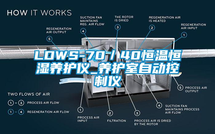 LDWS-70／40恒溫恒濕養護儀_養護室自動控制儀