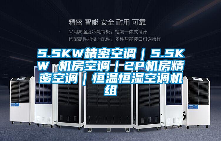 5.5KW精密空調｜5.5KW 機房空調｜2P機房精密空調｜恒溫恒濕空調機組