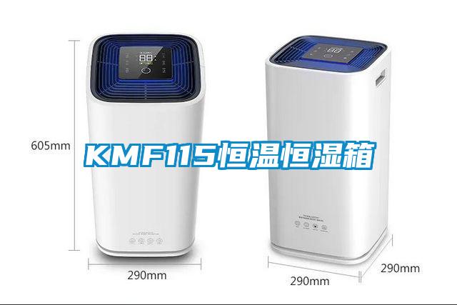 KMF115恒溫恒濕箱