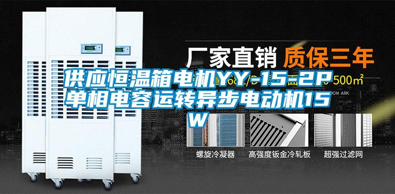 供應恒溫箱電機YY-15-2P單相電容運轉異步電動機15W