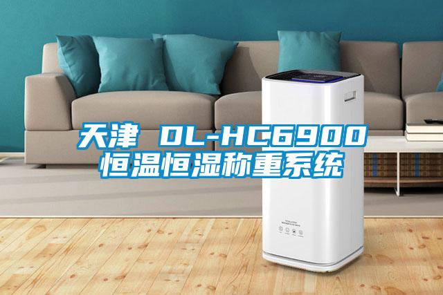 天津 DL-HC6900恒溫恒濕稱重系統