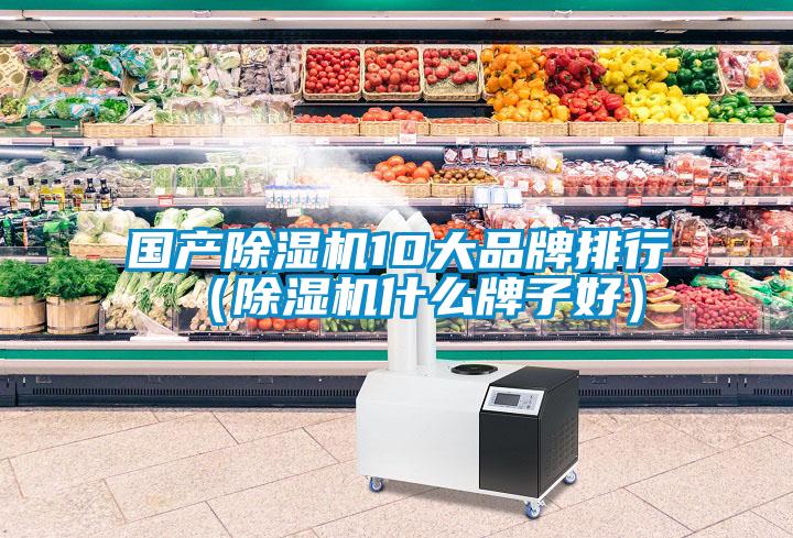 國產除濕機10大品牌排行（除濕機什么牌子好）