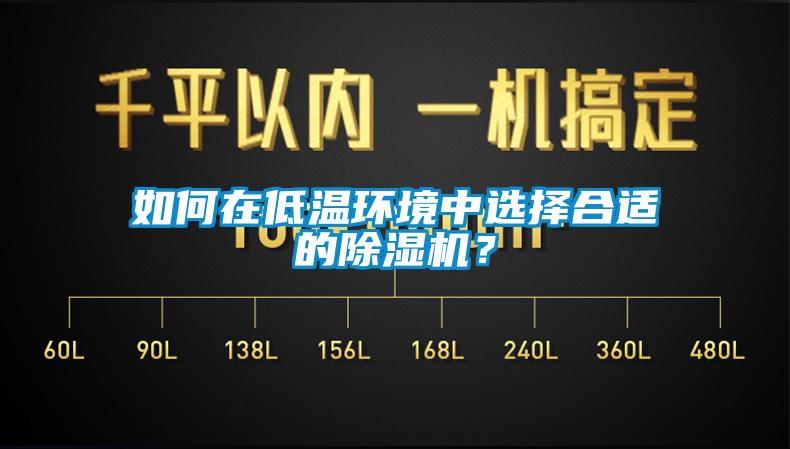 如何在低溫環(huán)境中選擇合適的除濕機(jī)？