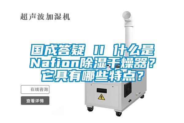 國成答疑 II 什么是Nafion除濕干燥器？它具有哪些特點？