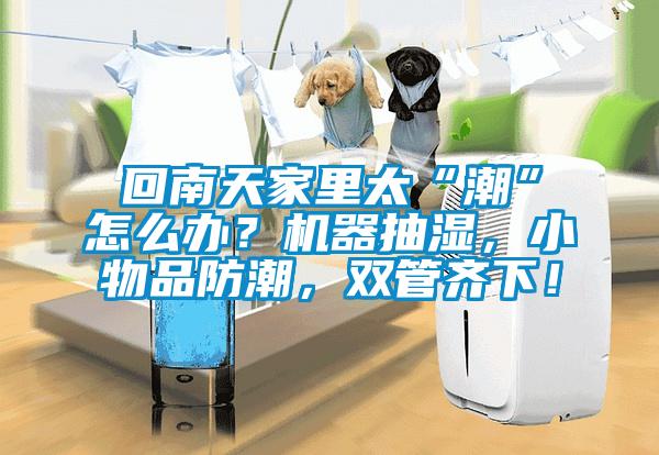 回南天家里太“潮”怎么辦？機器抽濕，小物品防潮，雙管齊下！