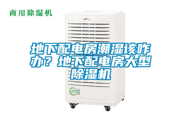 地下配電房潮濕該咋辦？地下配電房大型除濕機