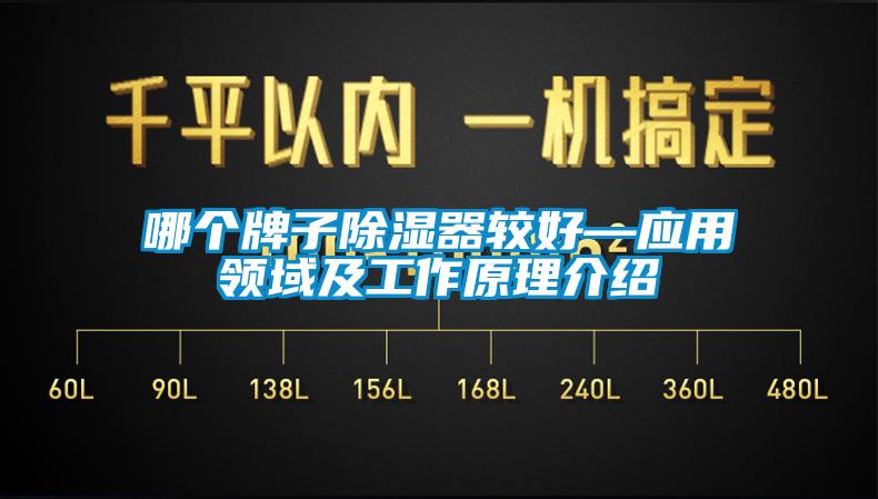 哪個牌子除濕器較好—應用領域及工作原理介紹