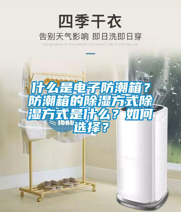 什么是電子防潮箱？防潮箱的除濕方式除濕方式是什么？如何選擇？