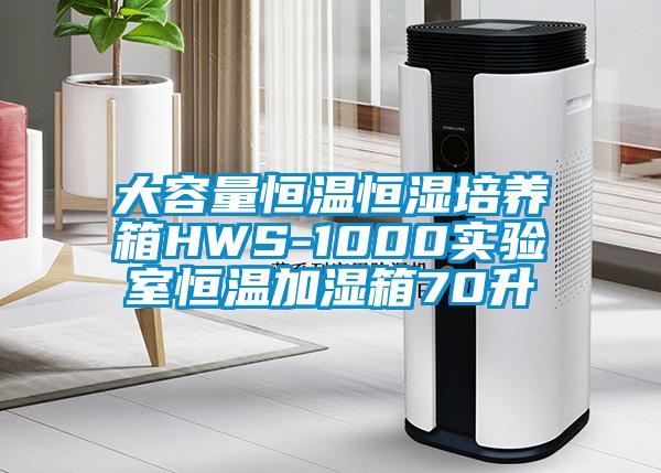 大容量恒溫恒濕培養箱HWS-1000實驗室恒溫加濕箱70升