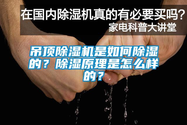 吊頂除濕機是如何除濕的？除濕原理是怎么樣的？