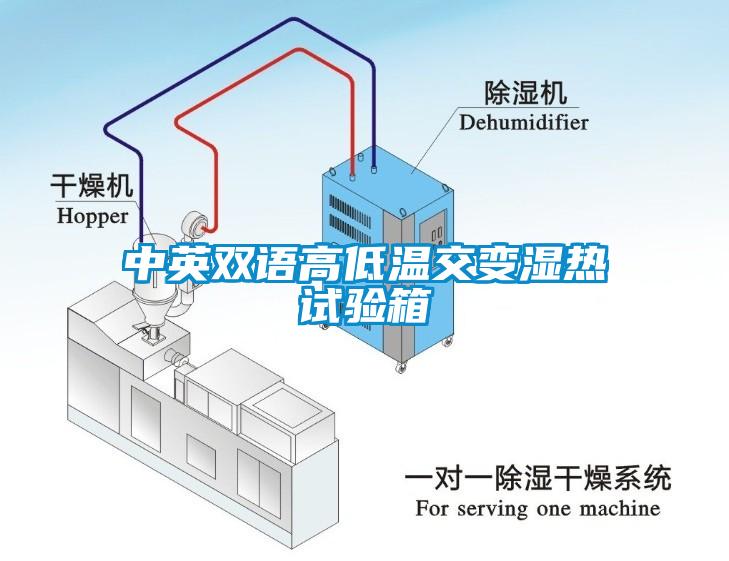 中英雙語高低溫交變濕熱試驗箱