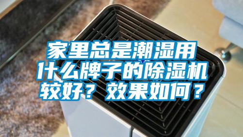 家里總是潮濕用什么牌子的除濕機較好？效果如何？