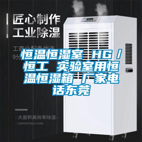 恒溫恒濕室 HG／恒工 實驗室用恒溫恒濕箱 廠家電話東莞