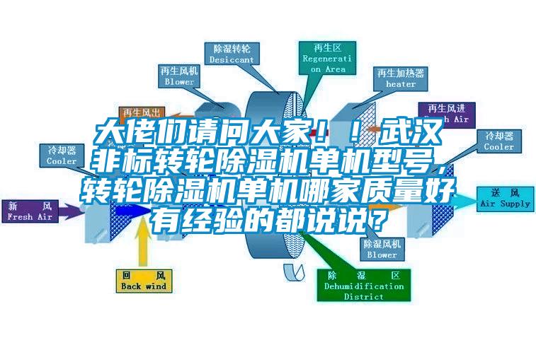 大佬們請問大家！！武漢非標轉輪除濕機單機型號，轉輪除濕機單機哪家質量好有經驗的都說說？