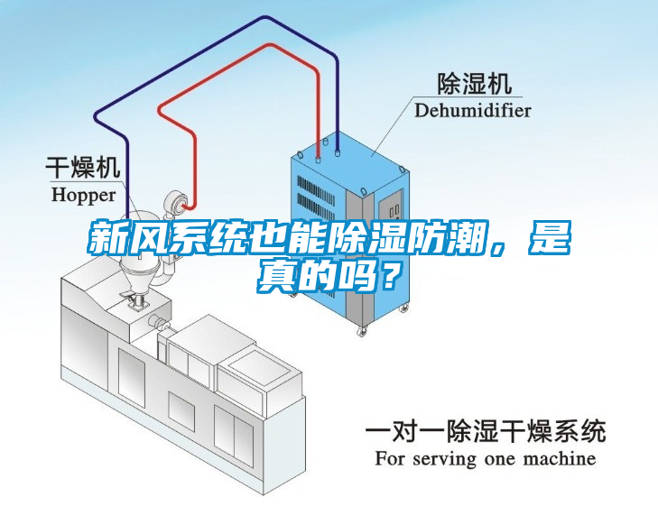 新風系統也能除濕防潮，是真的嗎？