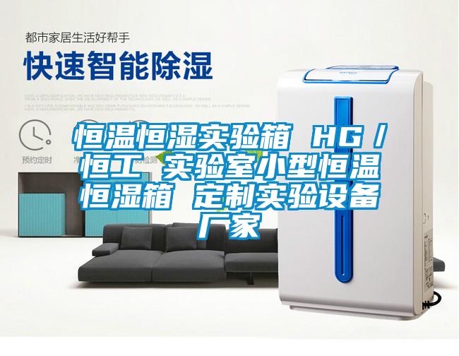 恒溫恒濕實驗箱 HG／恒工 實驗室小型恒溫恒濕箱 定制實驗設備廠家