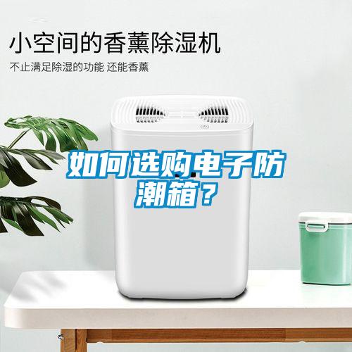 如何選購電子防潮箱？