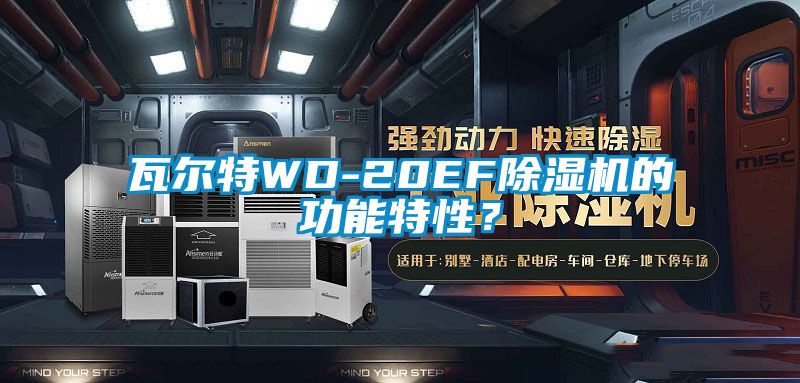 瓦爾特WD-20EF除濕機的功能特性？