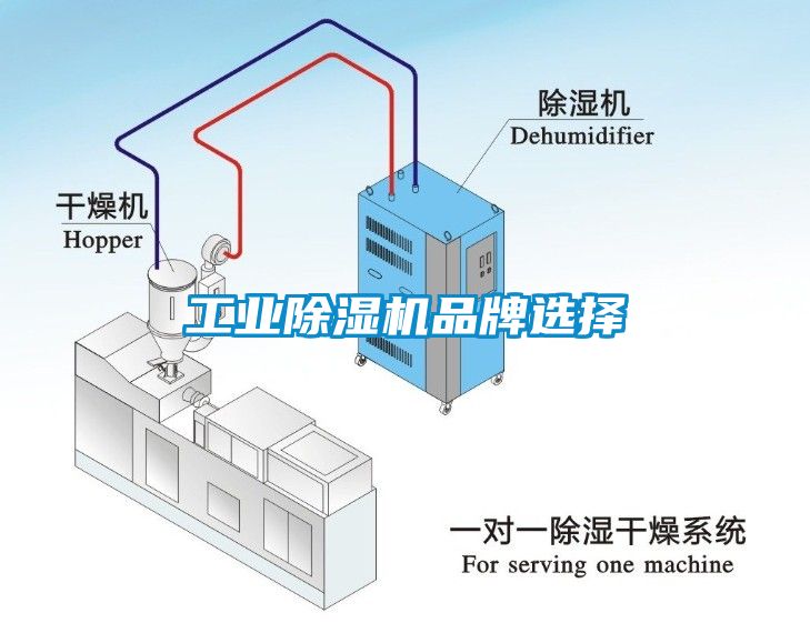 工業除濕機品牌選擇