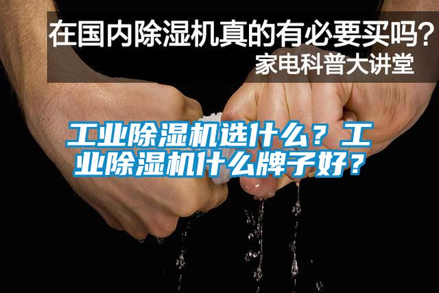 工業除濕機選什么？工業除濕機什么牌子好？