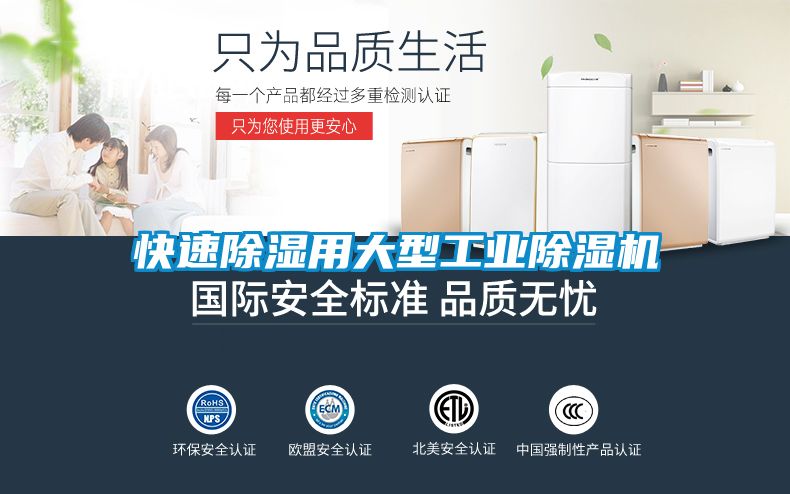 快速除濕用大型工業(yè)除濕機(jī)