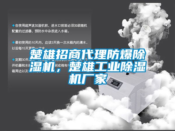 楚雄招商代理防爆除濕機，楚雄工業(yè)除濕機廠家