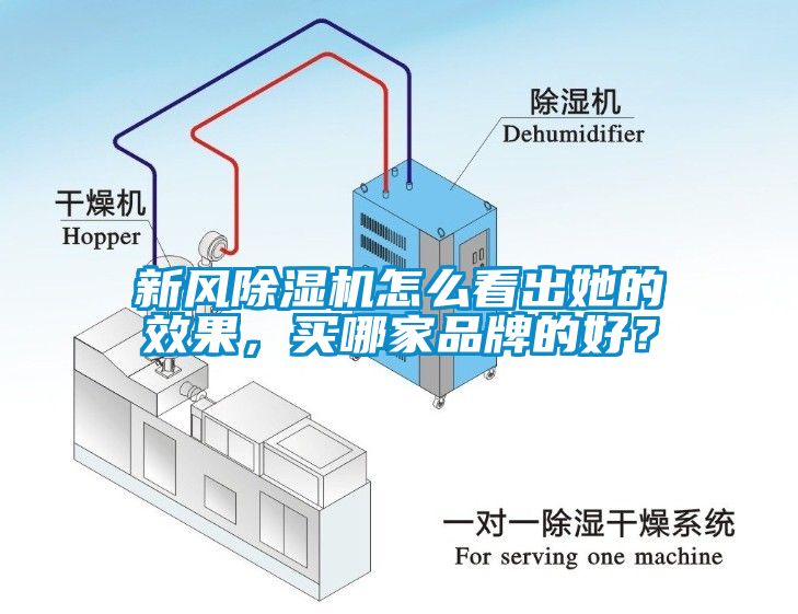 新風(fēng)除濕機(jī)怎么看出她的效果，買哪家品牌的好？