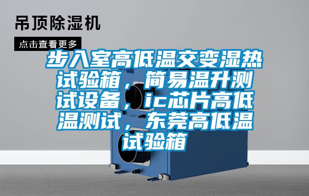 步入室高低溫交變濕熱試驗箱，簡易溫升測試設備，ic芯片高低溫測試，東莞高低溫試驗箱