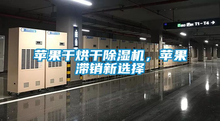 蘋果干烘干除濕機，蘋果滯銷新選擇