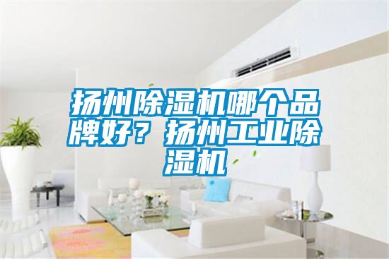 揚州除濕機哪個品牌好？揚州工業除濕機