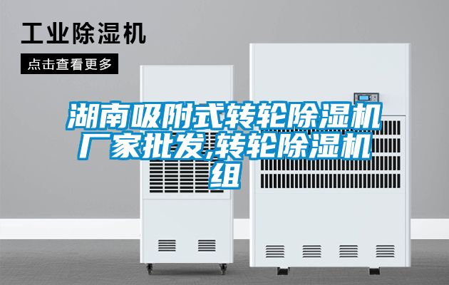 湖南吸附式轉輪除濕機廠家批發(fā),轉輪除濕機組