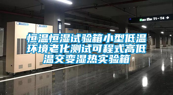 恒溫恒濕試驗箱小型低溫環境老化測試可程式高低溫交變濕熱實驗箱