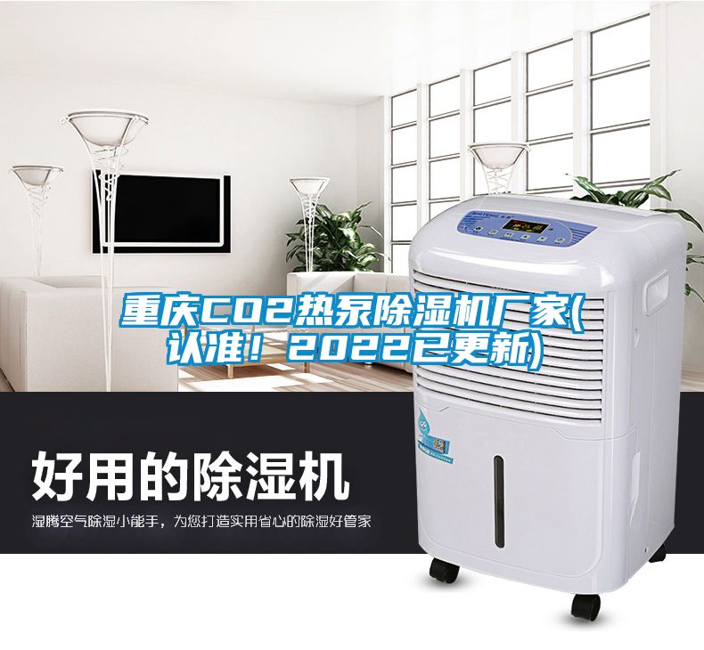 重慶CO2熱泵除濕機(jī)廠家(認(rèn)準(zhǔn)！2022已更新)