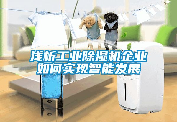 淺析工業除濕機企業如何實現智能發展